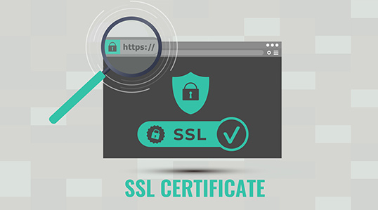 SSLサーバー証明書はWebサイトの安全性を担保できるのか？