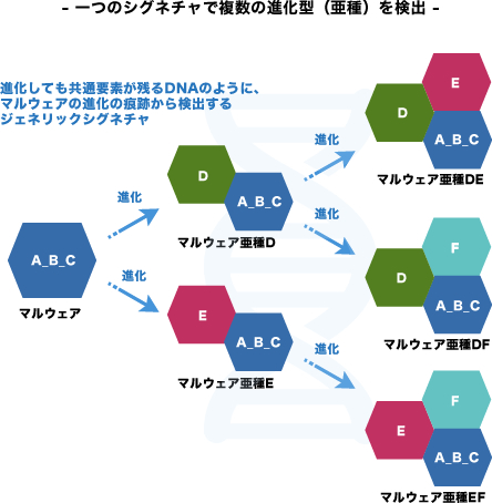 図:一つのシグネチャで複数の進化型(亜種)を検出